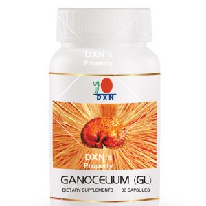 Ganocelium GL30 DXN